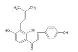 寶雞辰光生物銷售部 專業(yè)提供中藥標(biāo)準(zhǔn)品、對(duì)照品與植物提取物一站式服務(wù)